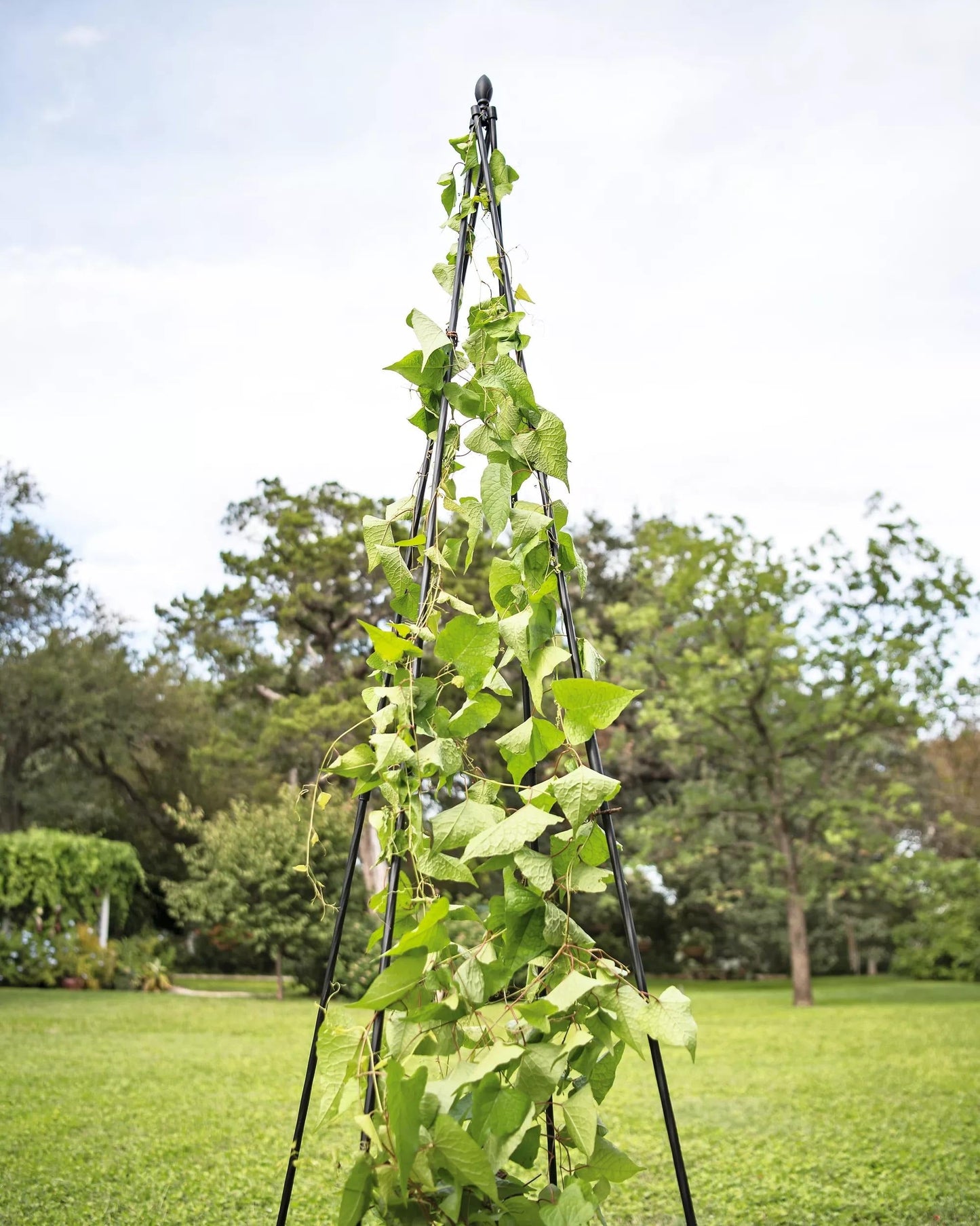 TitanTM Teepee Trellis
