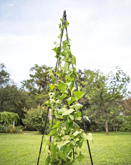 TitanTM Teepee Trellis