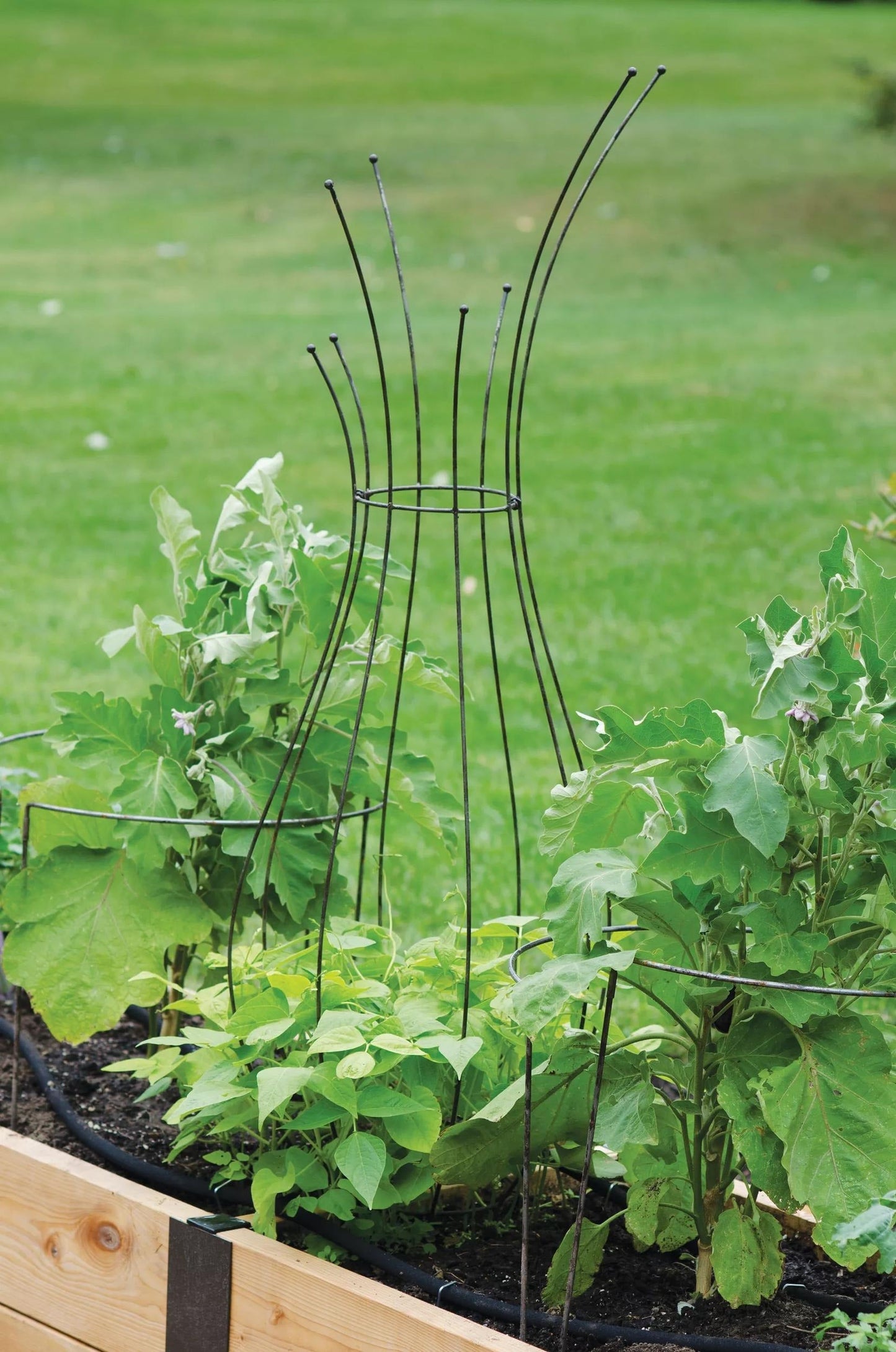 JardinTM Pot Trellis