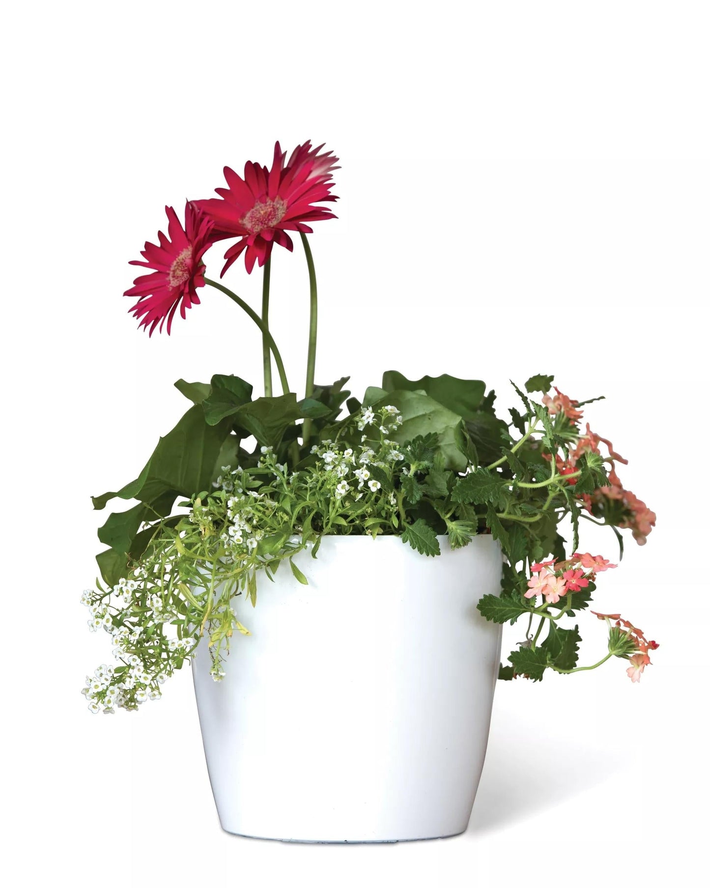 VivaTM Round Self-Watering Planter, 7" Diameter