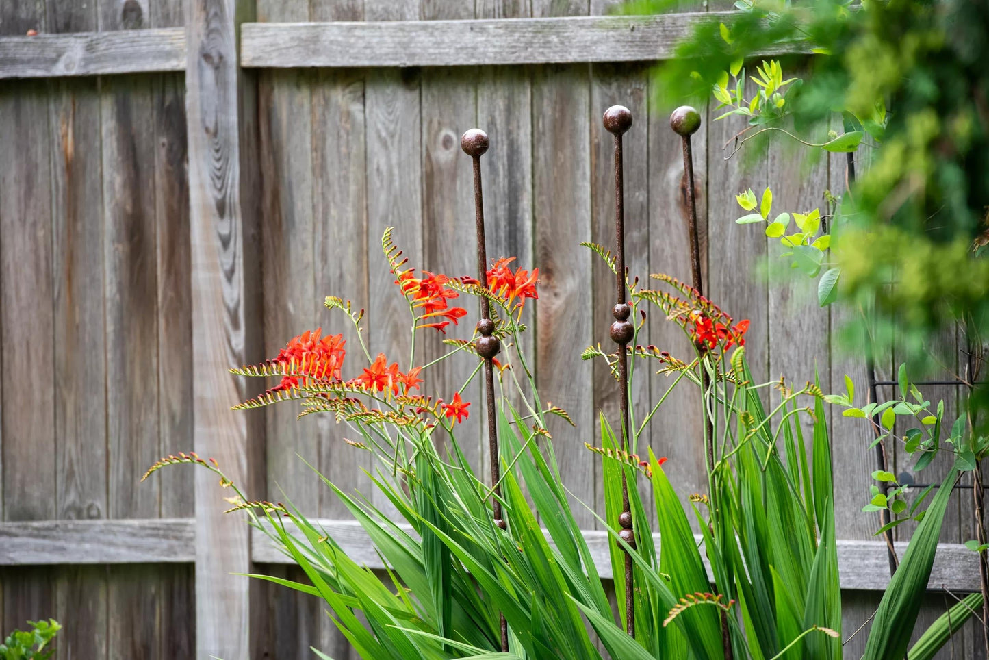 JardinTM Plant Stakes, Set of 3