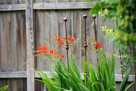 JardinTM Plant Stakes, Set of 3