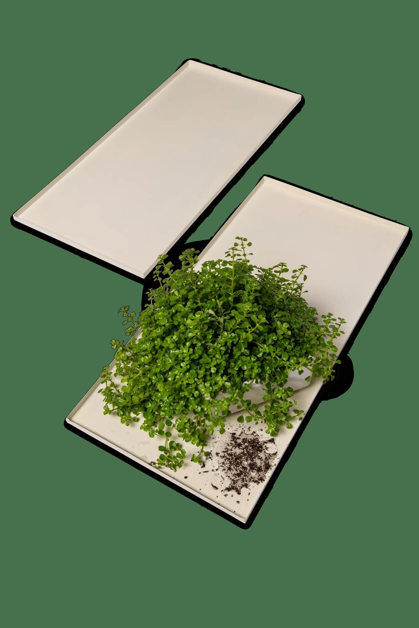OsloTM Grow Light Garden Trays, Set of 2