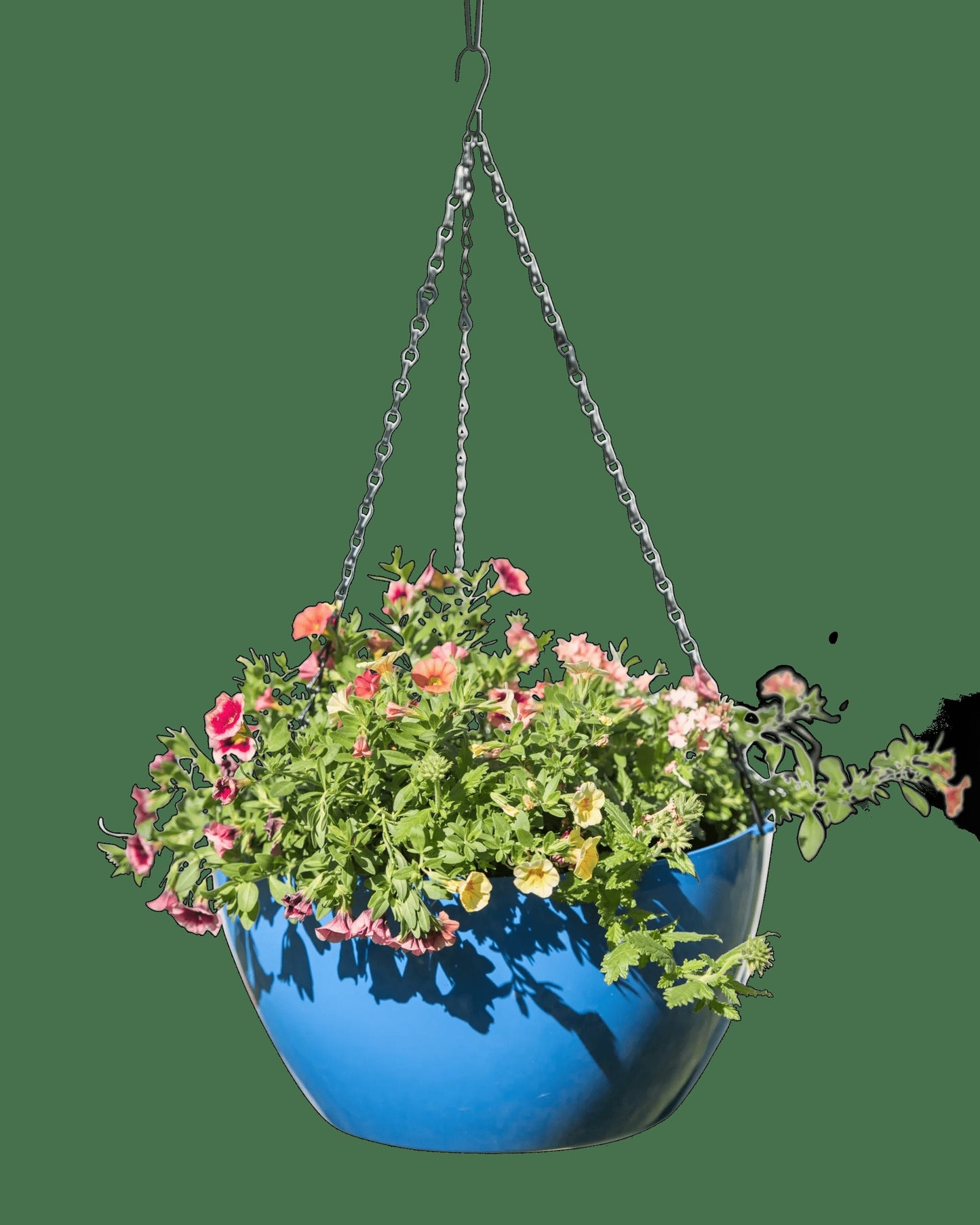 VivaTM Self-Watering Hanging Basket, 14" Diameter