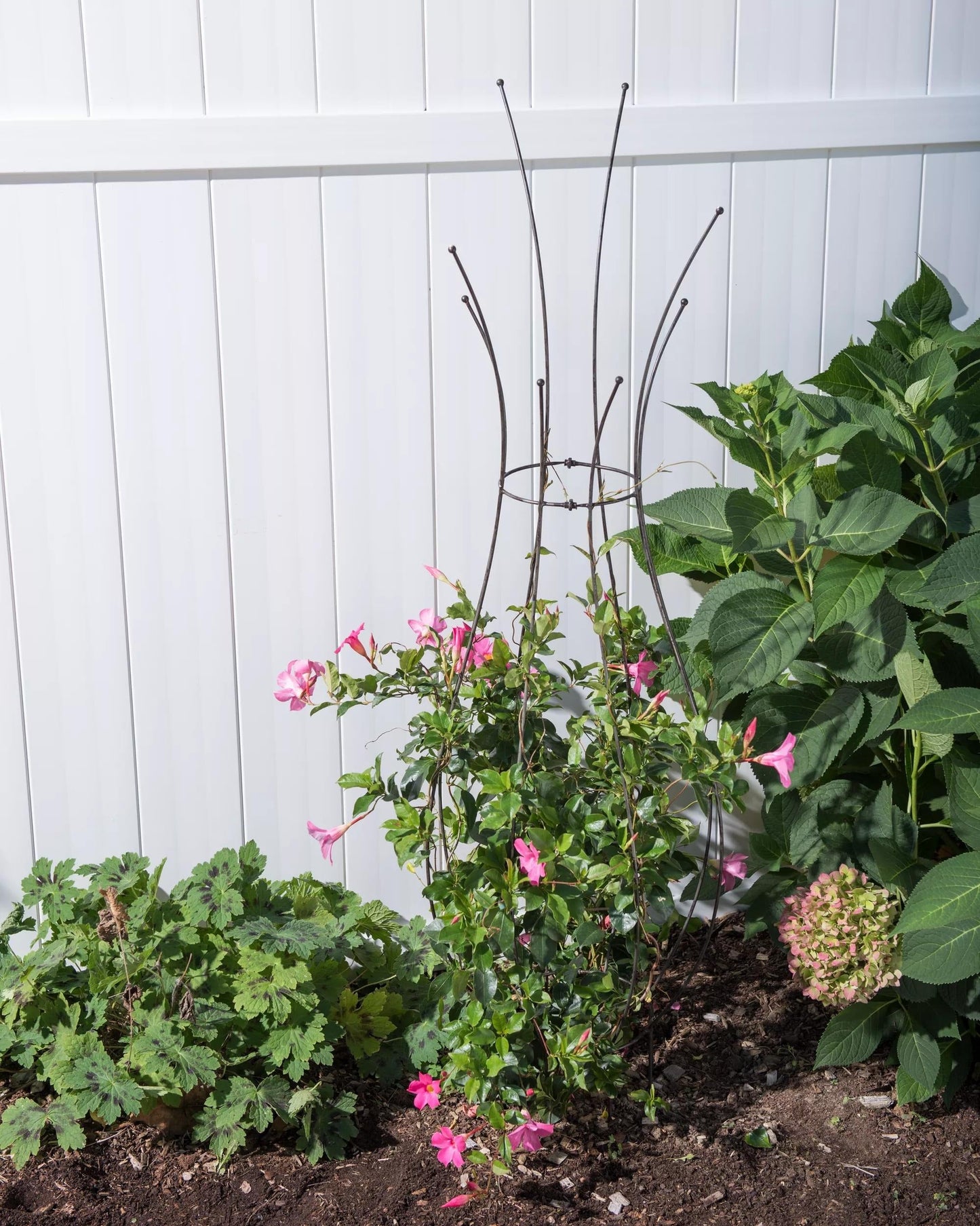 JardinTM Pot Trellis