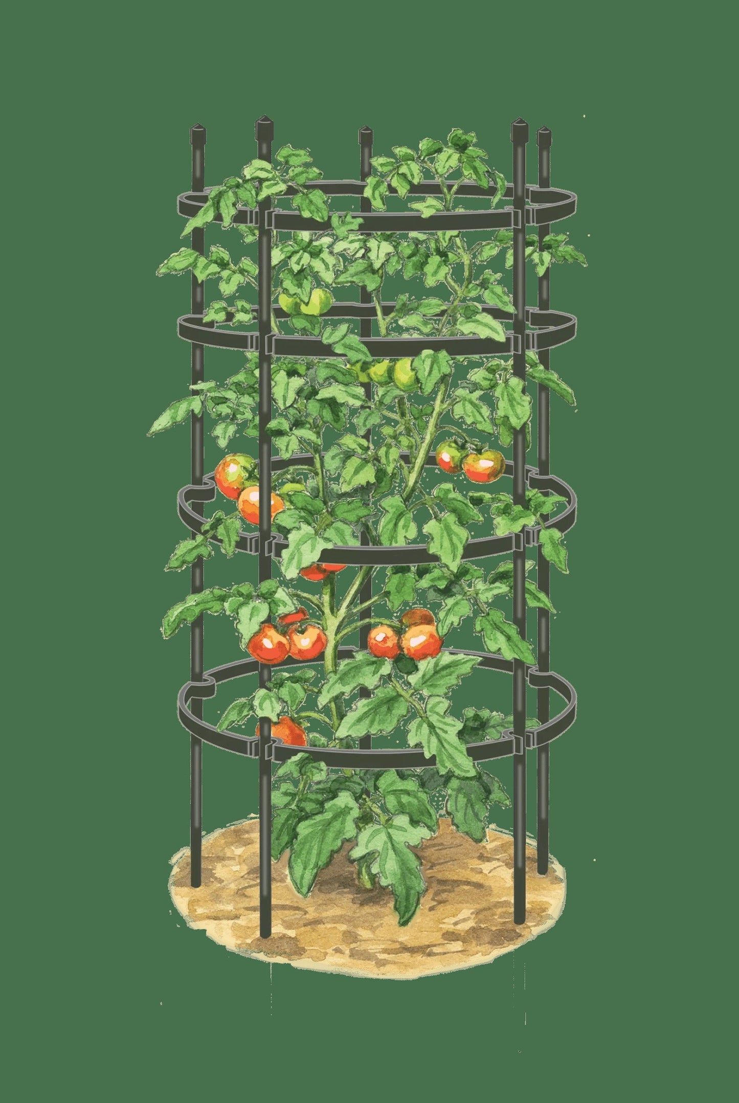 TitanTM Tomato Cages, Set of 3