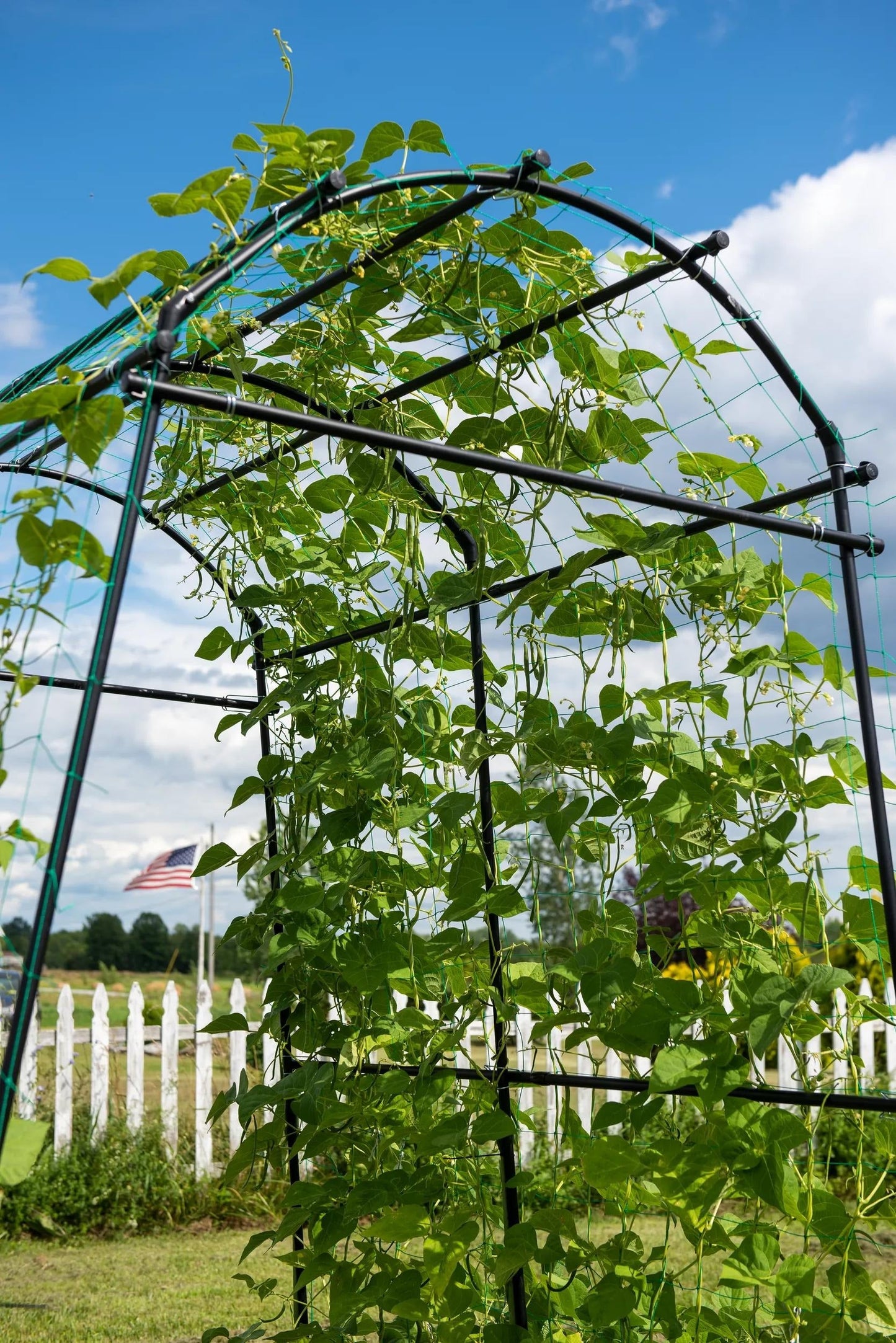 TitanTM Squash Tunnel