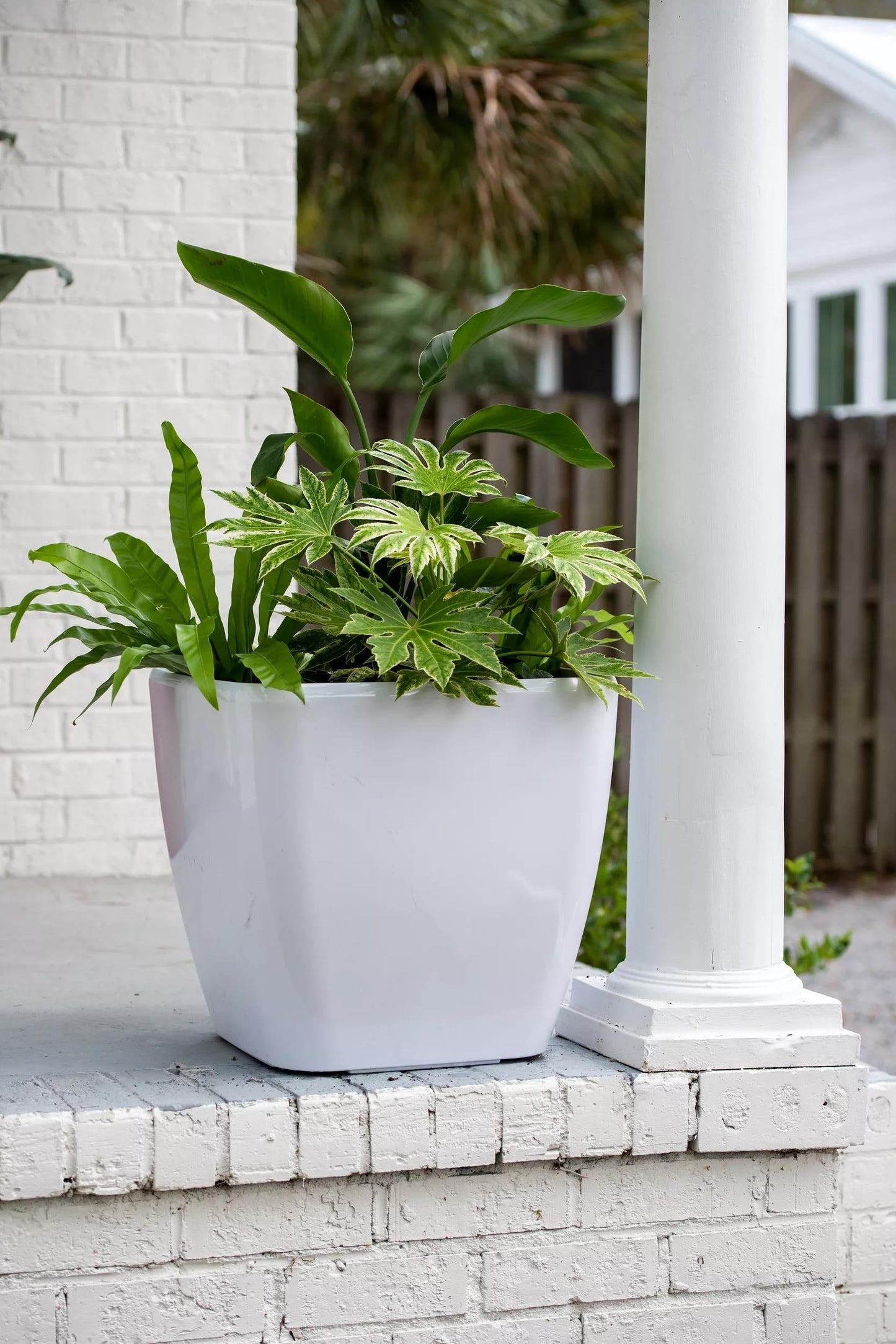 VivaTM Square Self-Watering Rolling Planter, 20" Diameter, Set of 2