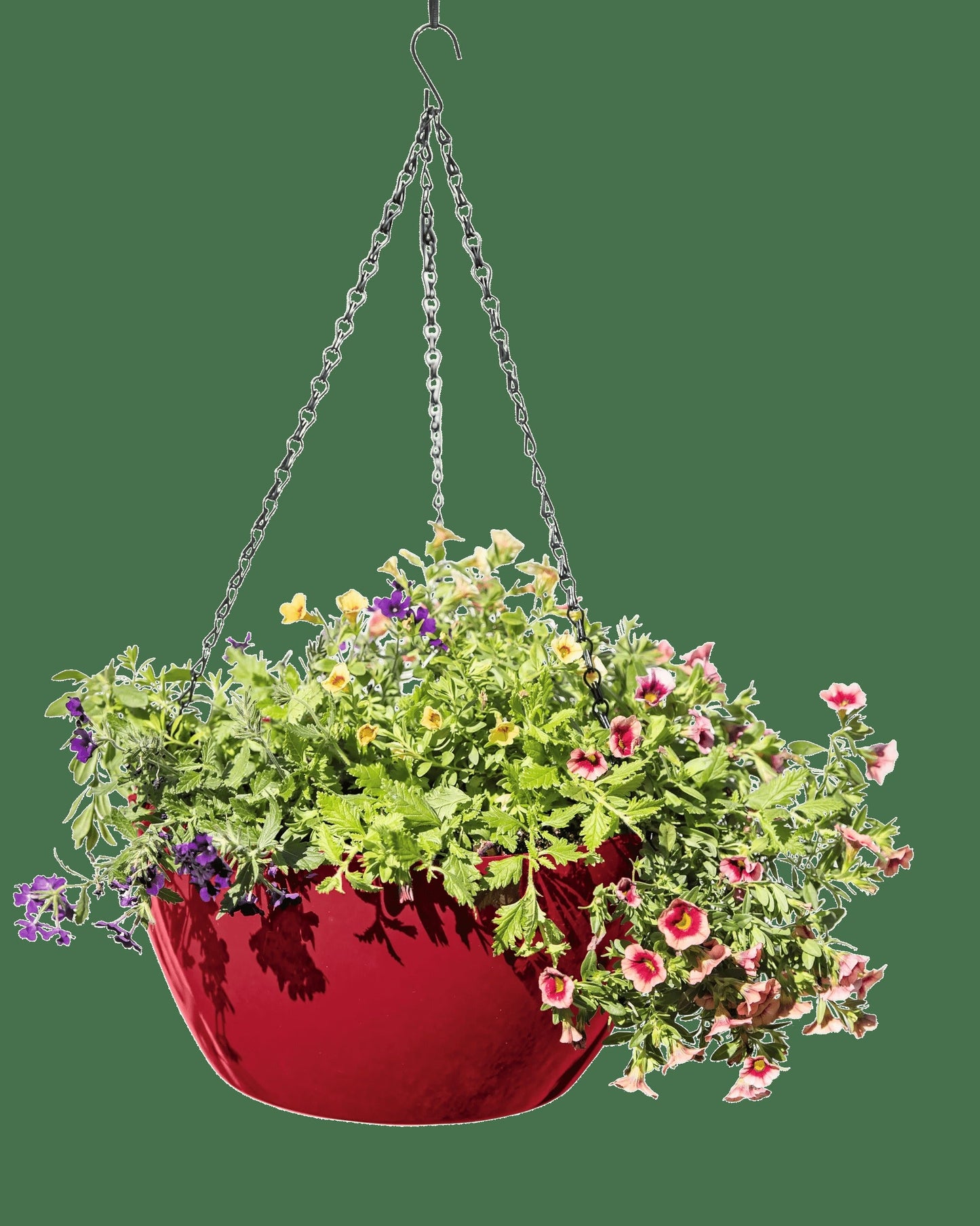 VivaTM Self-Watering Hanging Basket, 14" Diameter