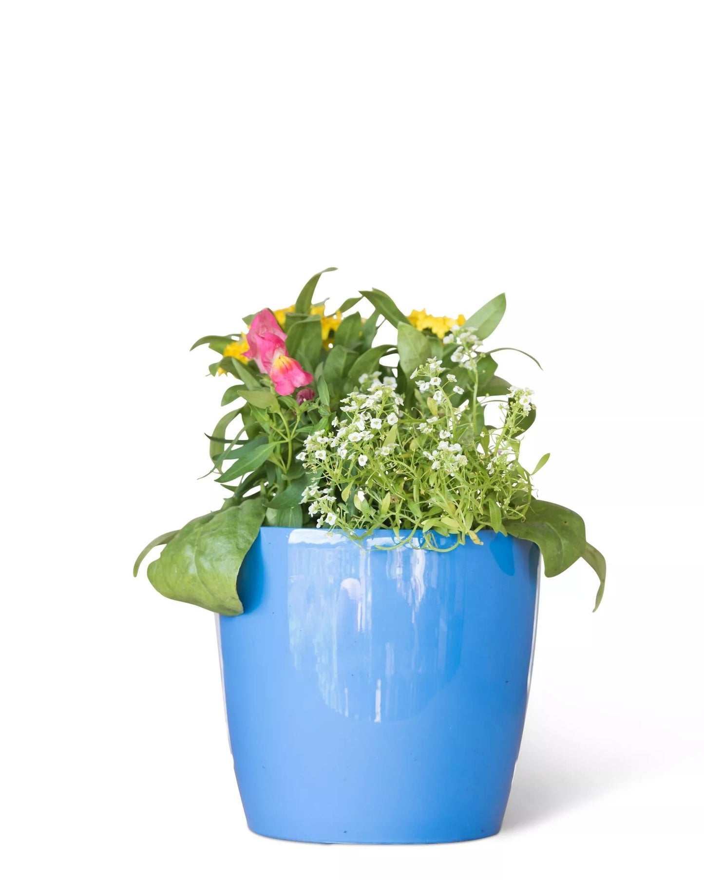 VivaTM Round Self-Watering Planter, 7" Diameter