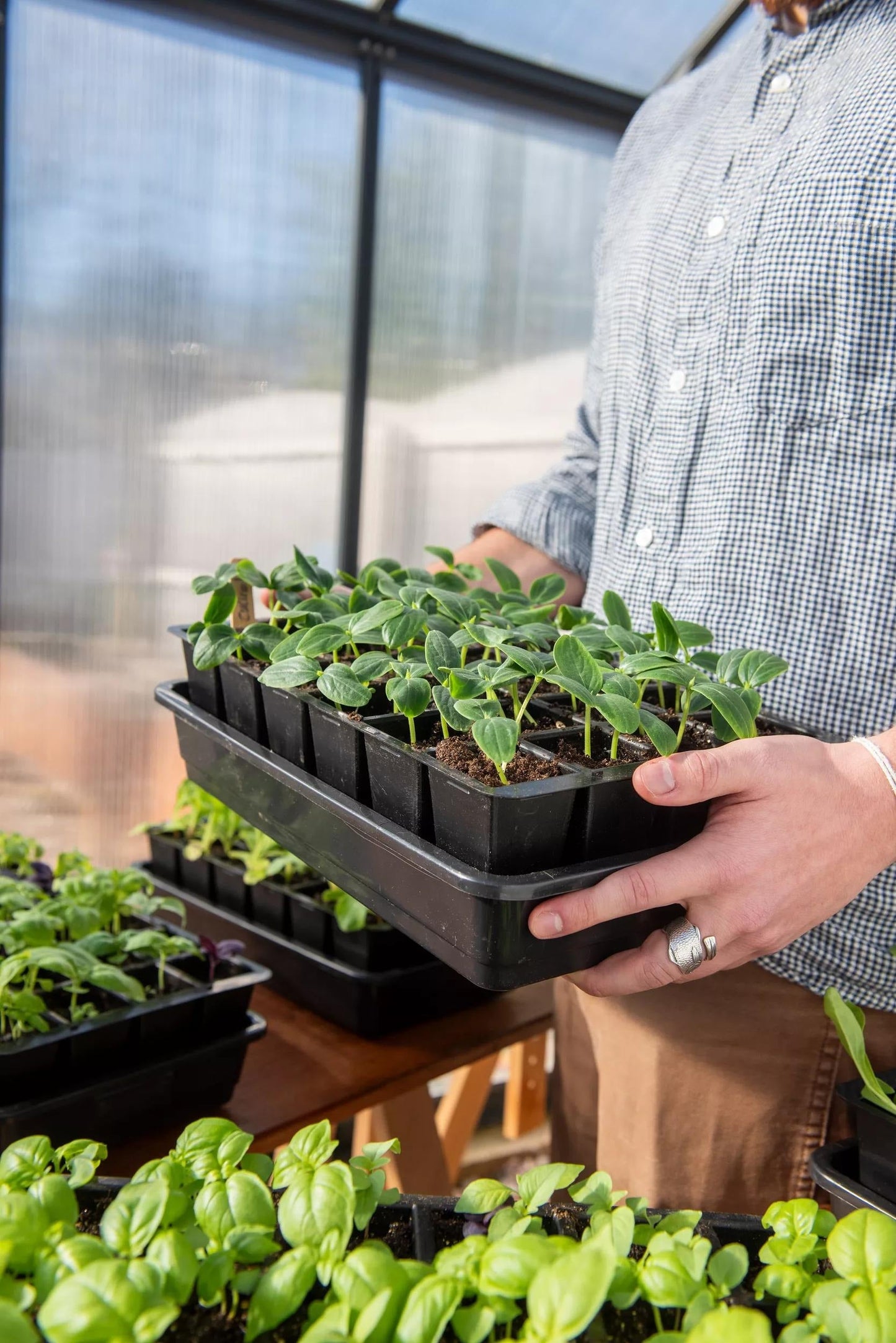 GrowEaseTM Seed Starter Kit