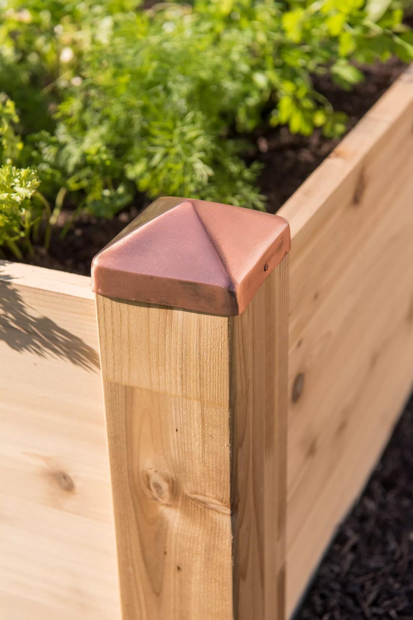 Copper Cap Raised Beds (14" D)