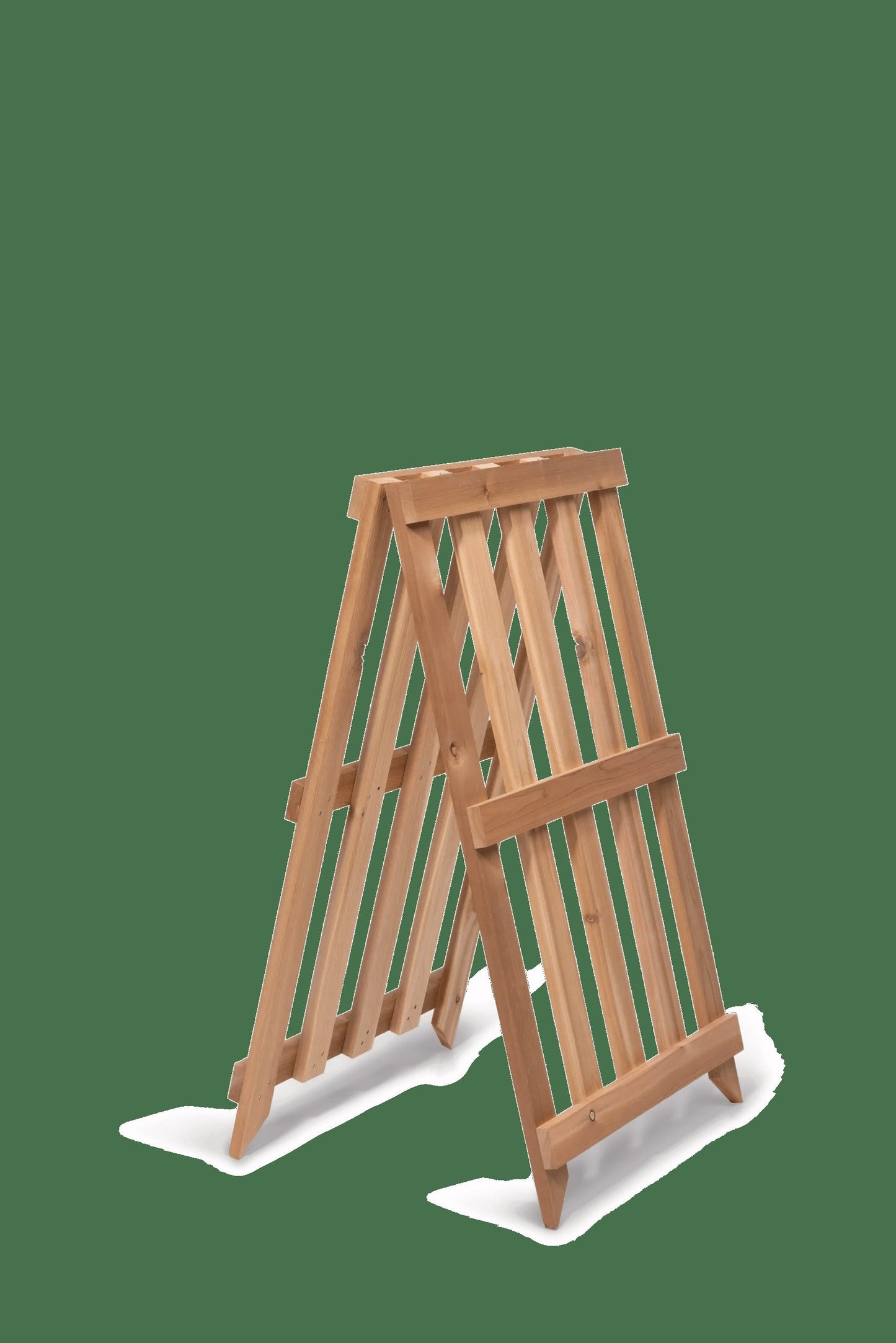 Cedar Shrub Guard
