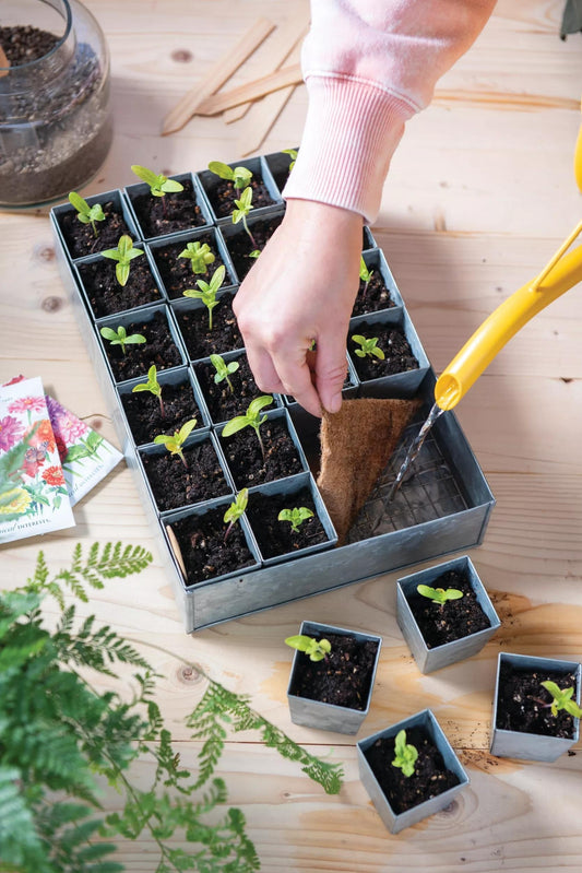 Self-Watering Galvanized Seed Starting Tray