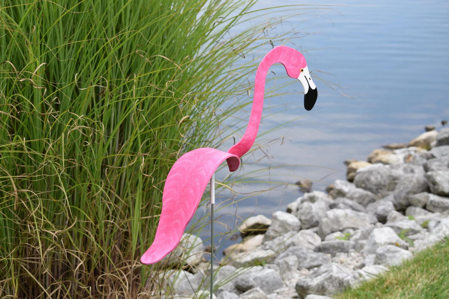 Florida Dancing Birds®, Flamingos