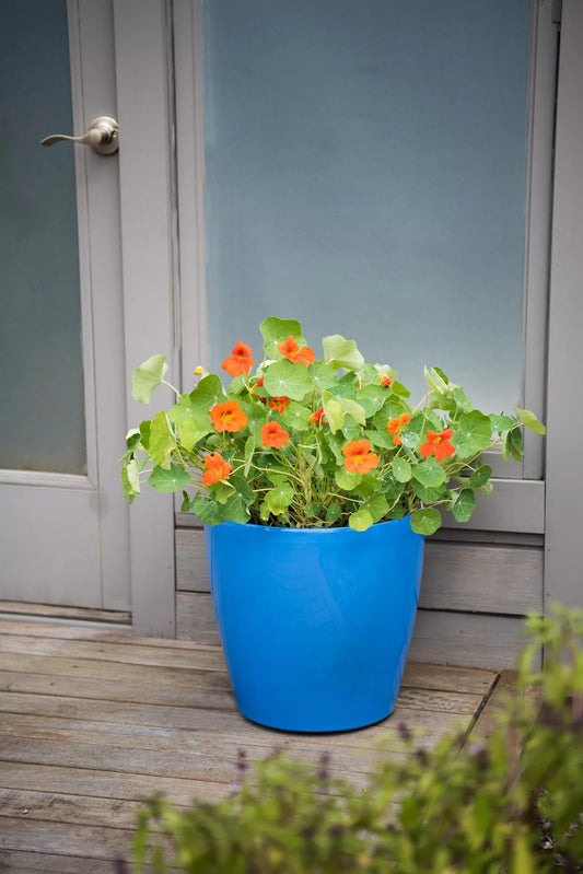 VivaTM Round Self-Watering Rolling Planter, 17.25” Diameter