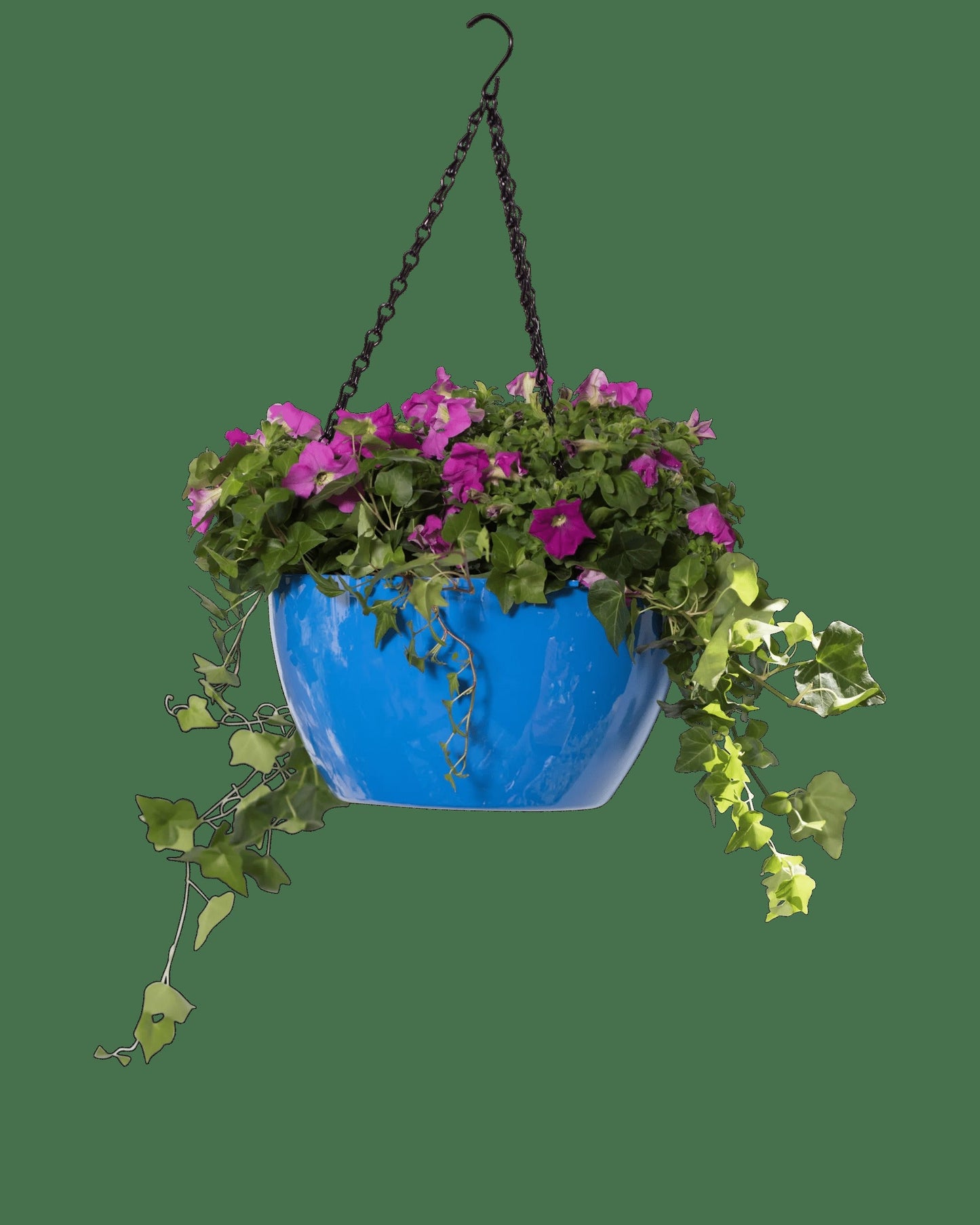 VivaTM Self-Watering Hanging Basket, 11" Diameter