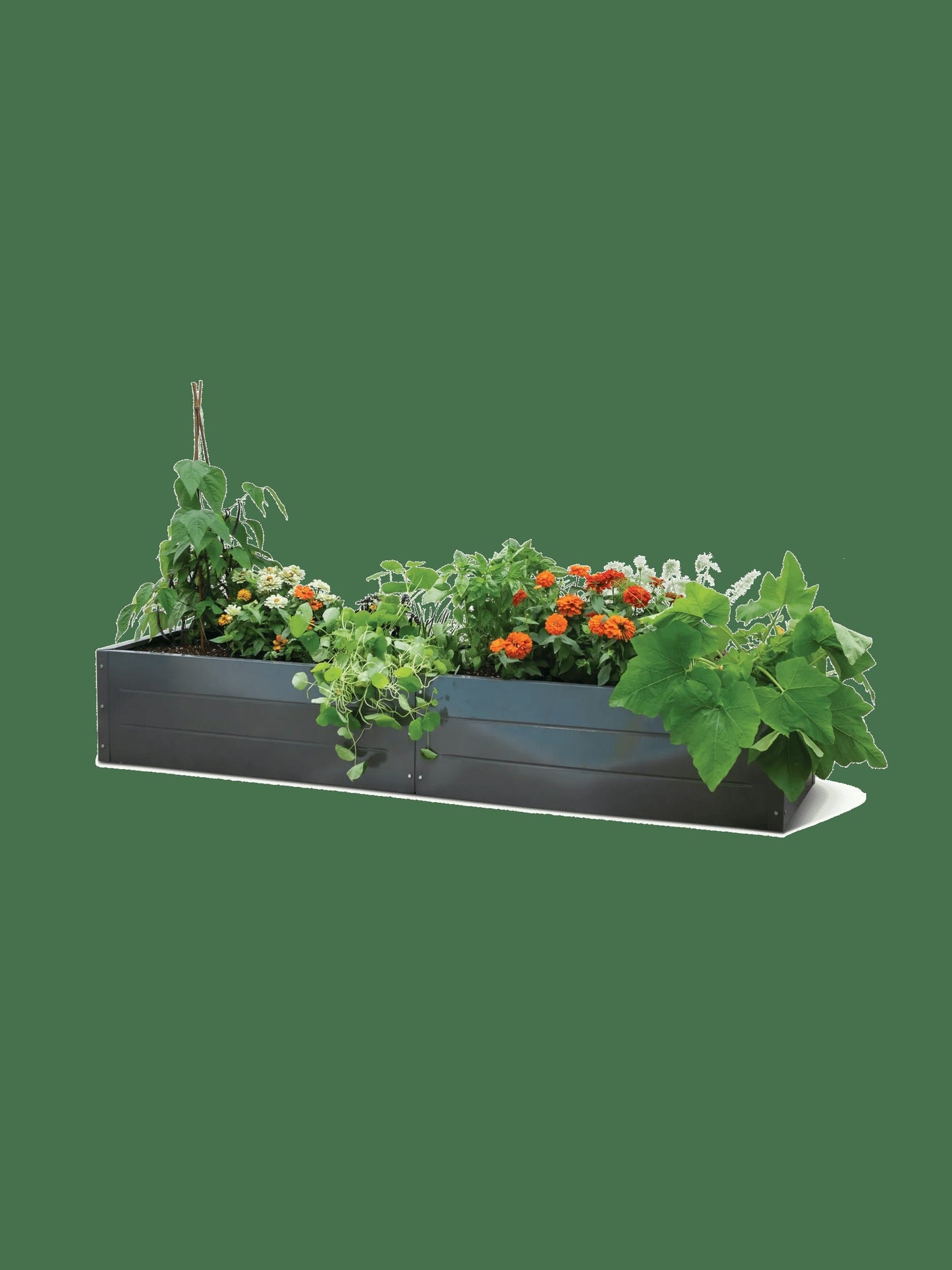 PutnamTM Metal Raised Bed, 24" x 90" (15"D)