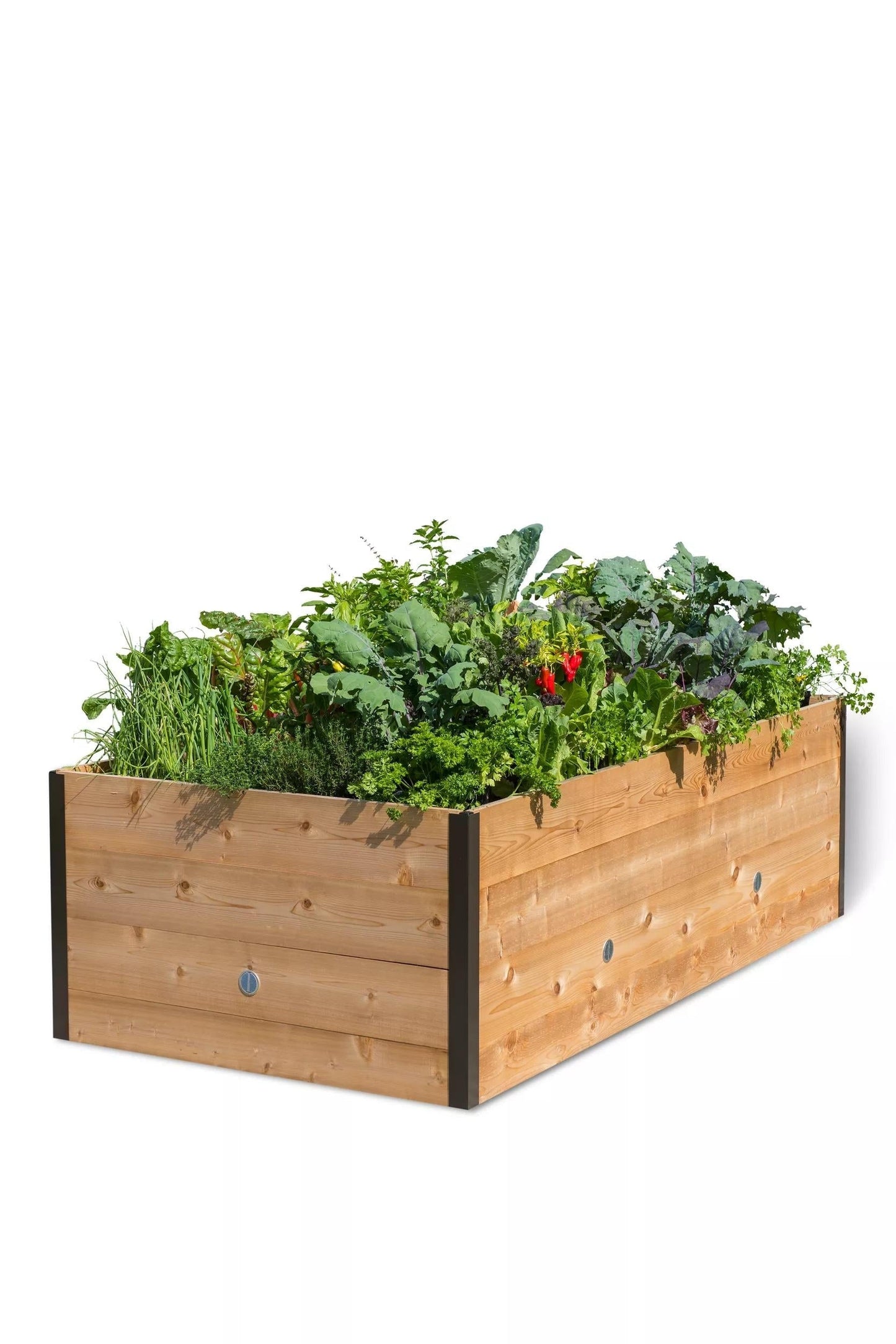 Elevated Cedar Raised Bed, 4' x 8'