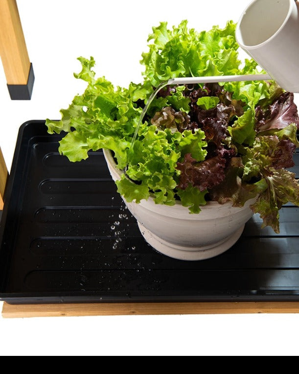 VegTrug Chef's Garden