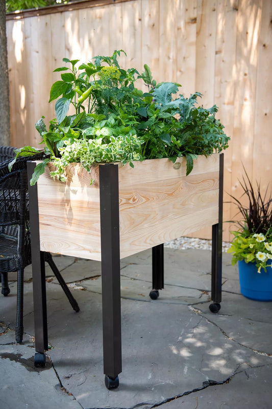 Rolling Patio Garden (13.5" D)