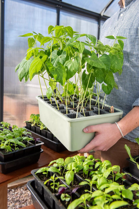 Deep Root Success Kit