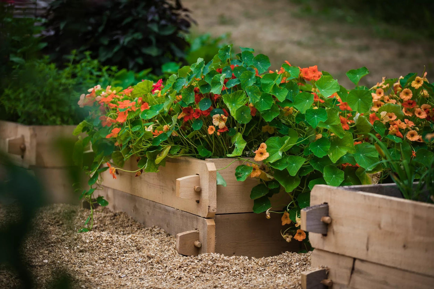 Farmstead Cedar Raised Garden Beds, 4'
