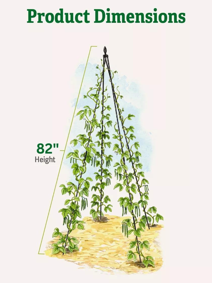 TitanTM Teepee Trellis