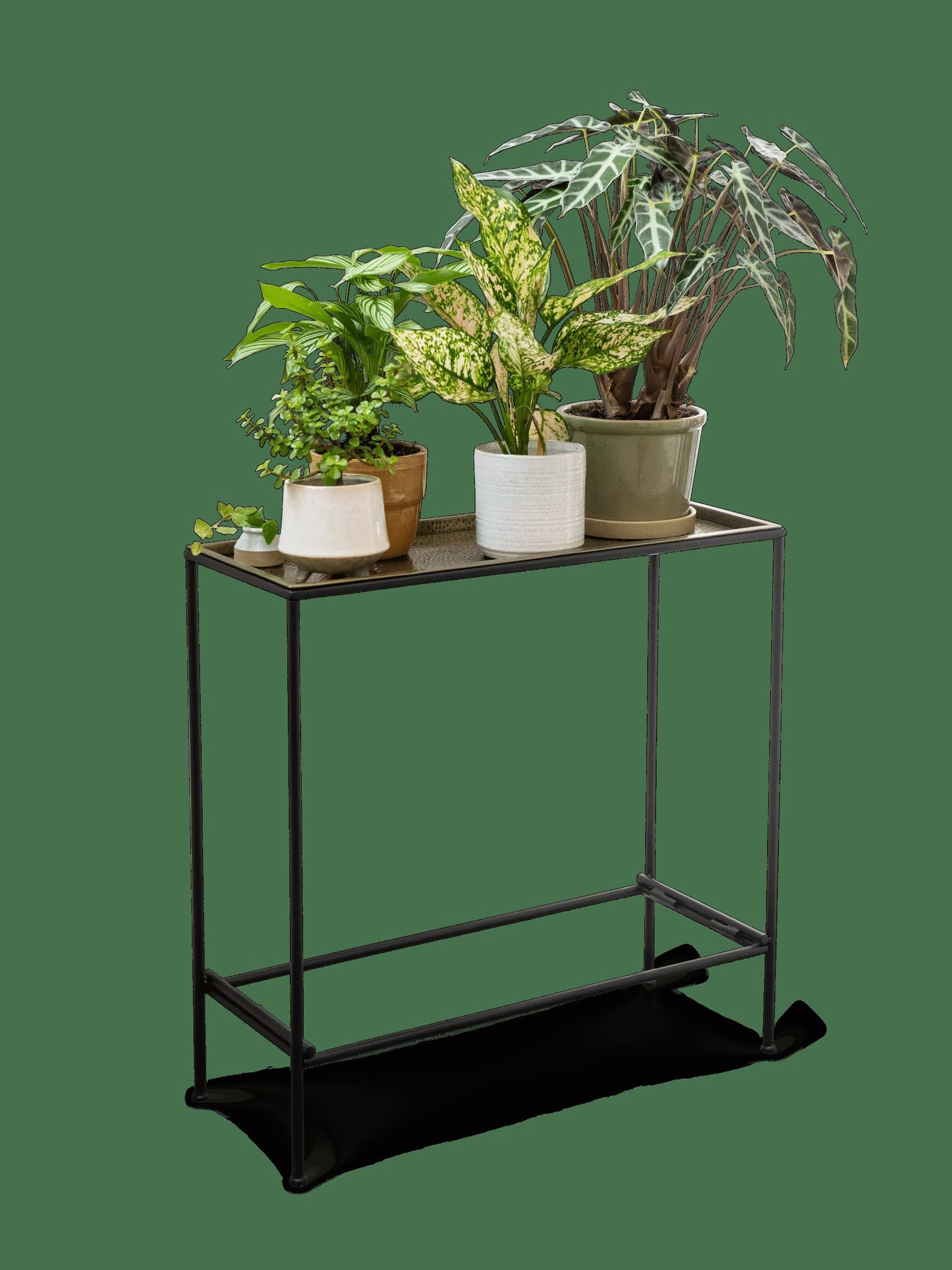 Sleek & Slender Plant Stand Side Table
