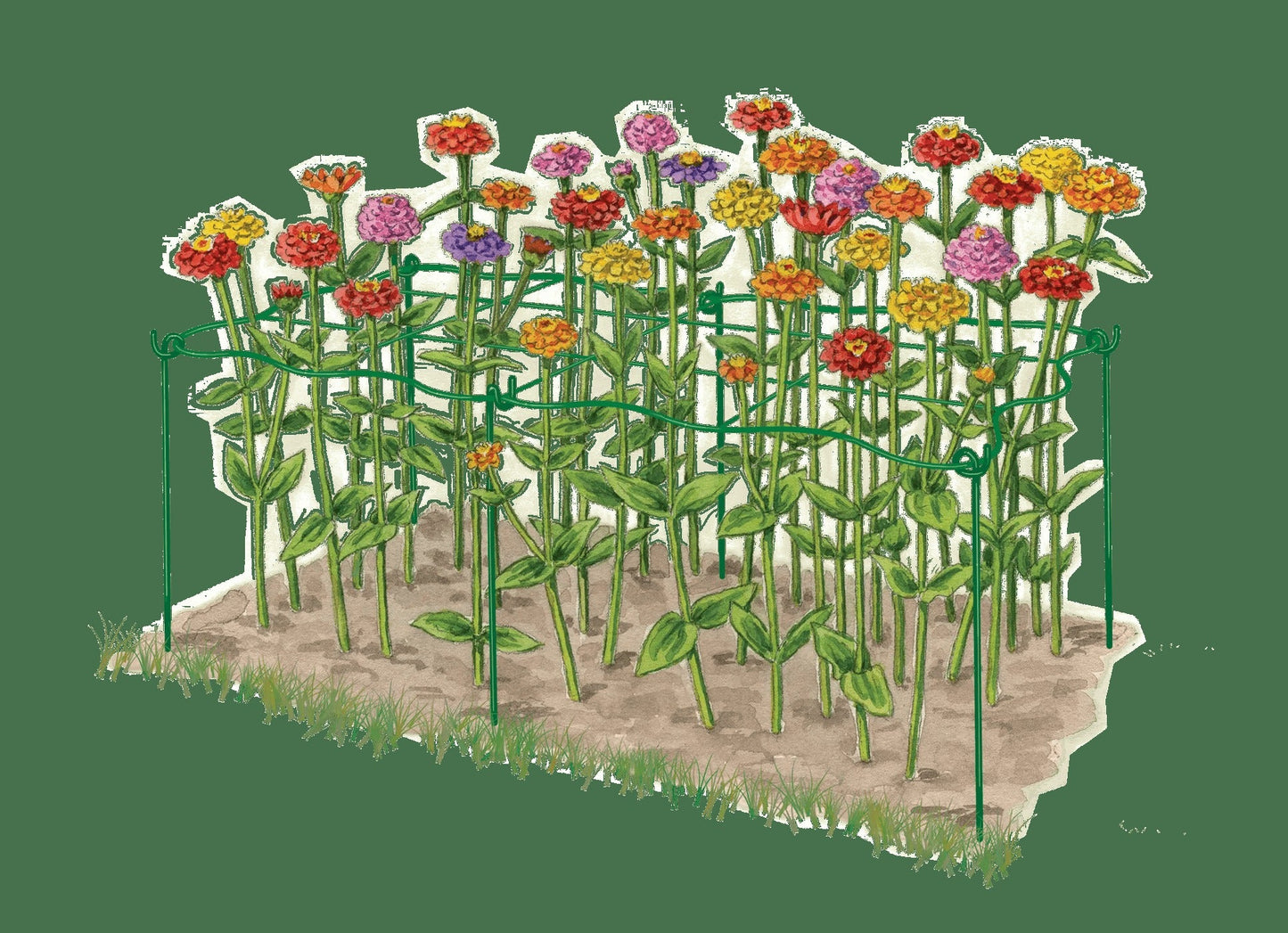 Cut Flower Grid Support, Set of 2