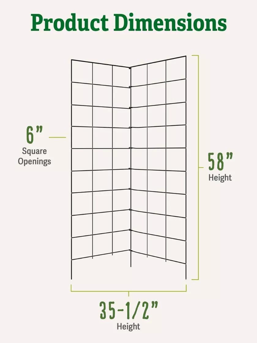 Two Panel Folding Trellis