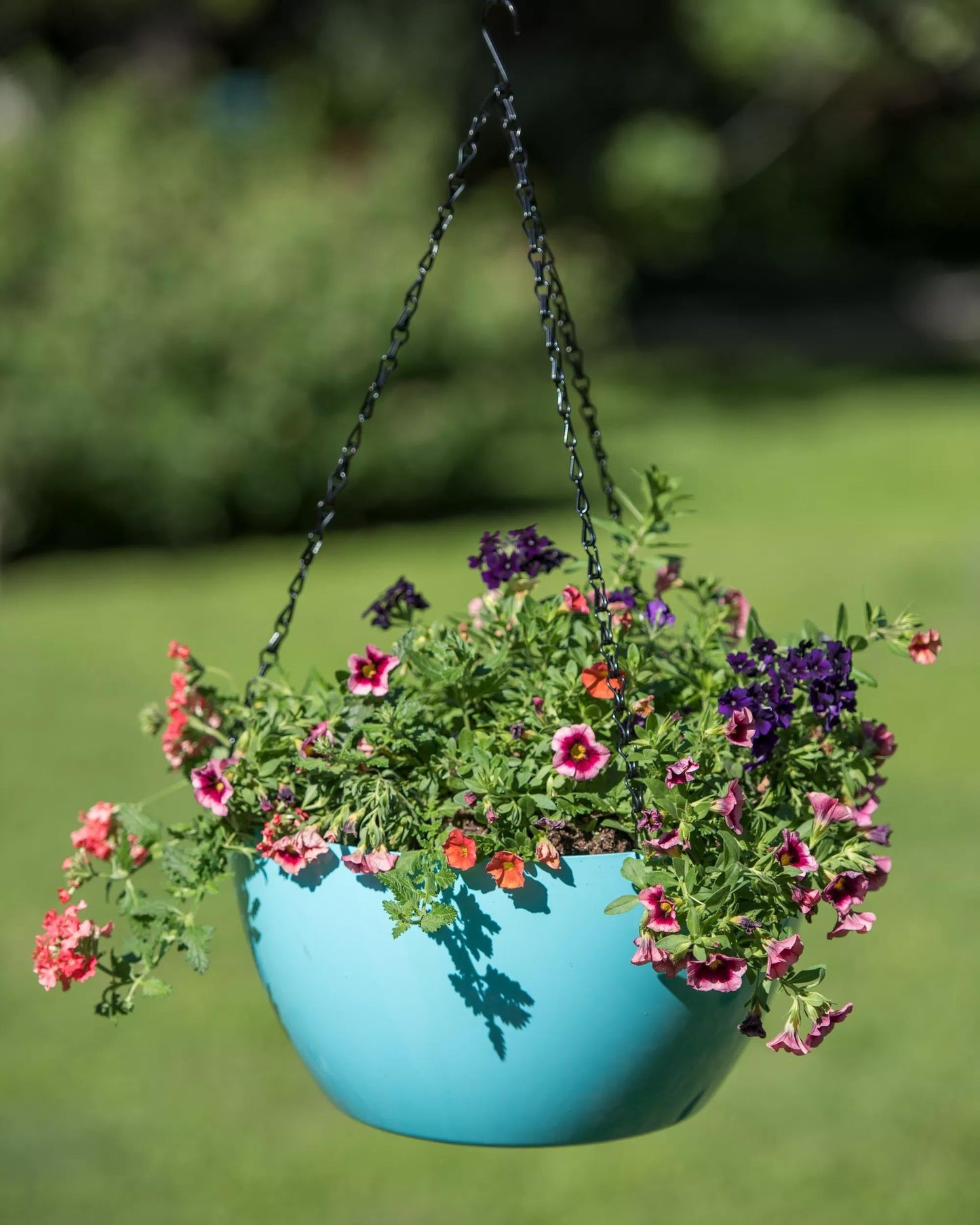 VivaTM Self-Watering Hanging Basket, 14" Diameter