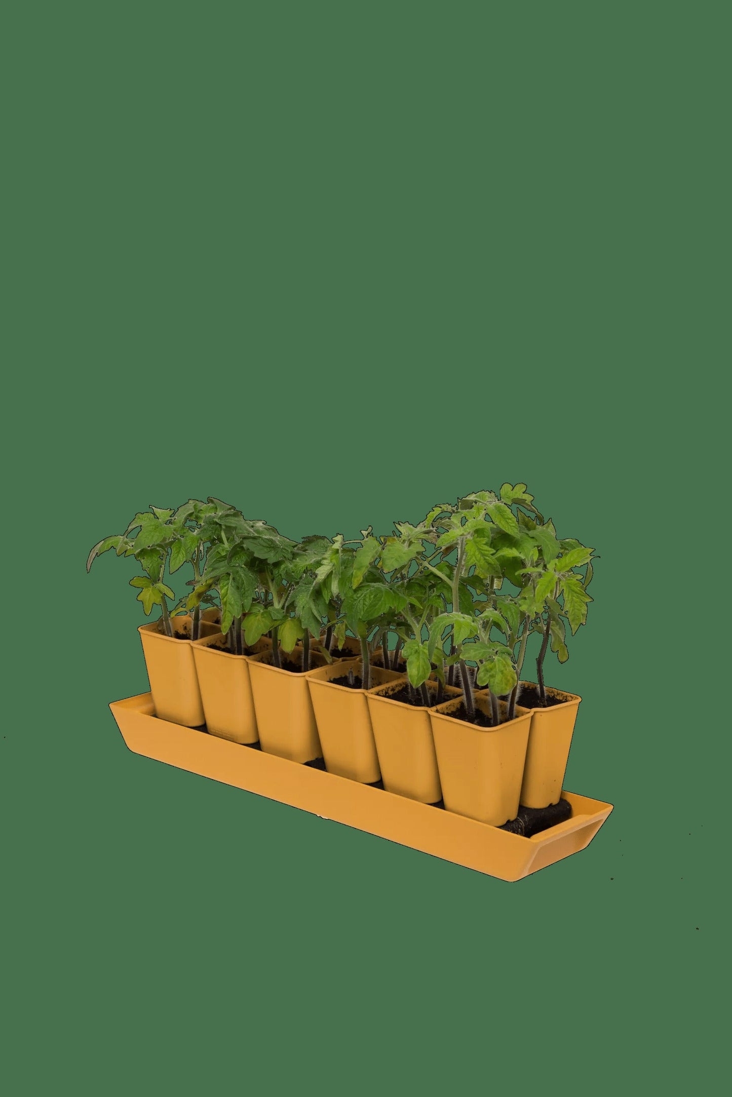 Gardener's Best® XL Seed Starting Kit