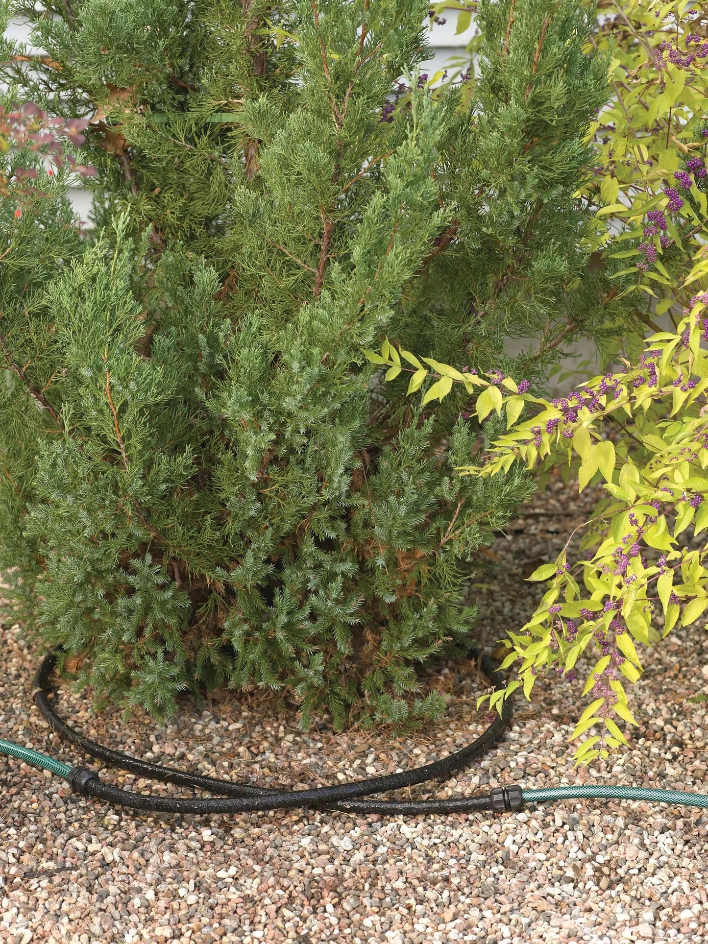 Snip-n-DripTM Landscape Soaker System