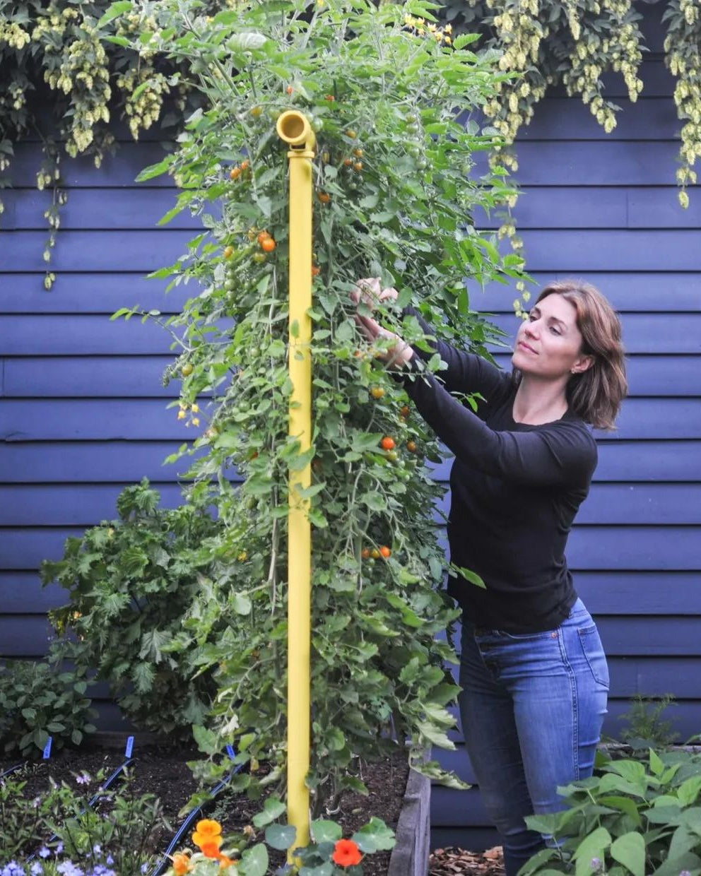 Freyr Garden Trellis
