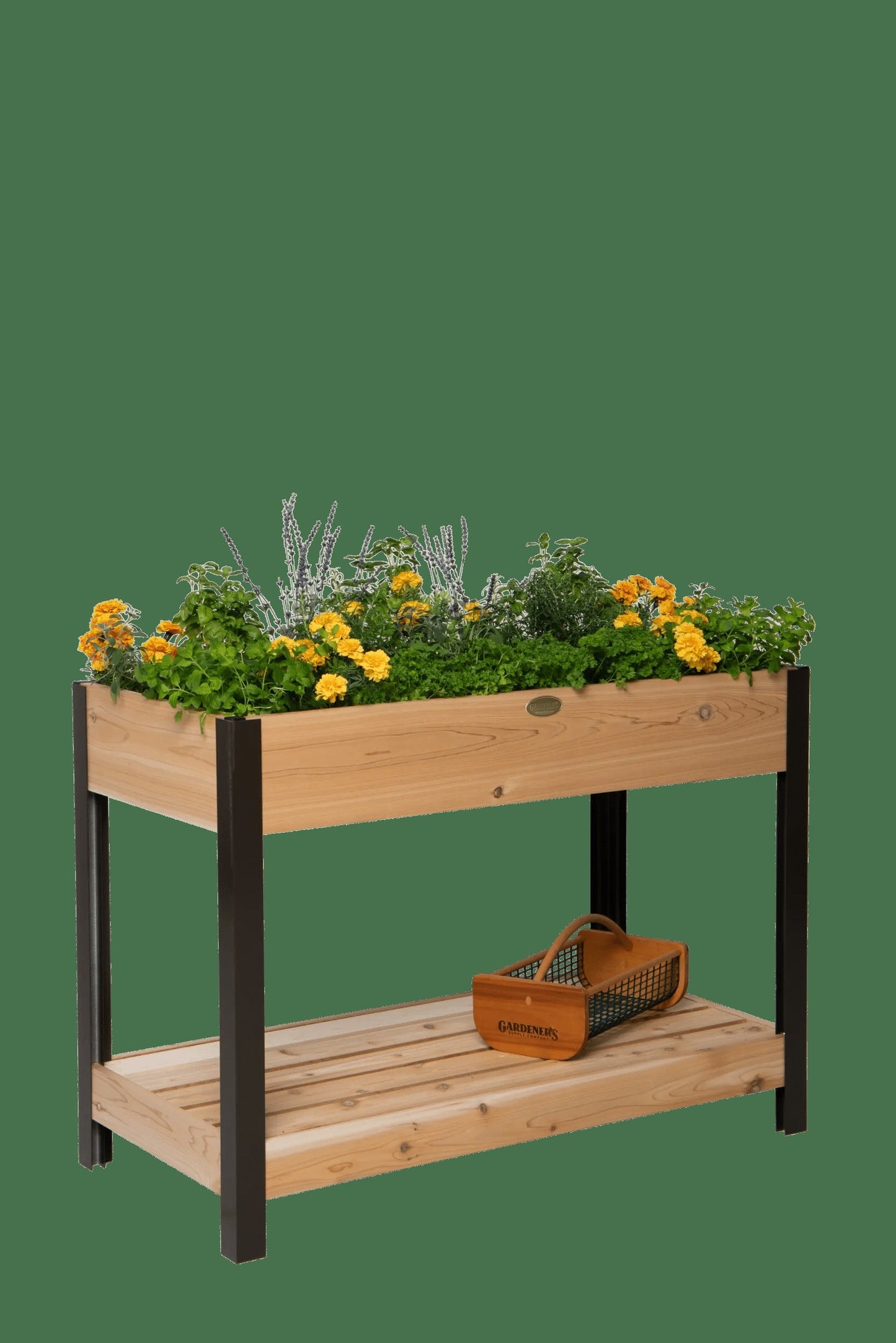 Elevated Cedar Patio Garden with Shelf, 2' x 4'