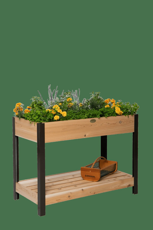 Elevated Cedar Patio Garden with Shelf, 2' x 4'