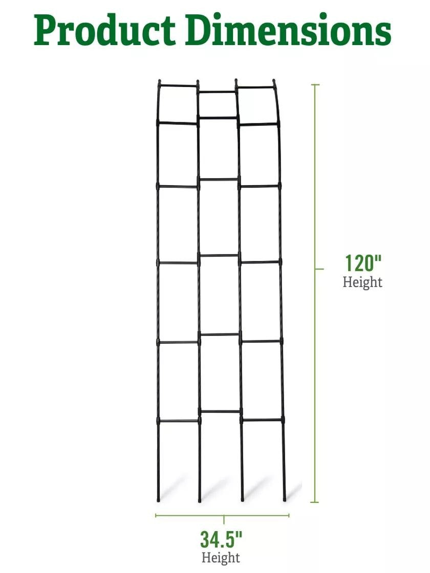 TitanTM Half Arch