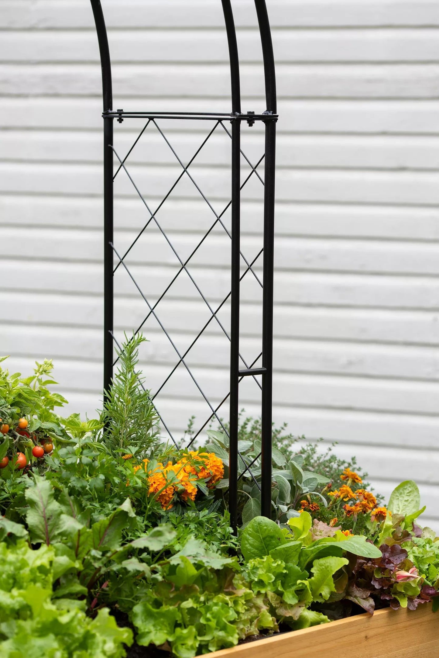 Metal Climbing Arch for VegTrug® Patio Garden Bed