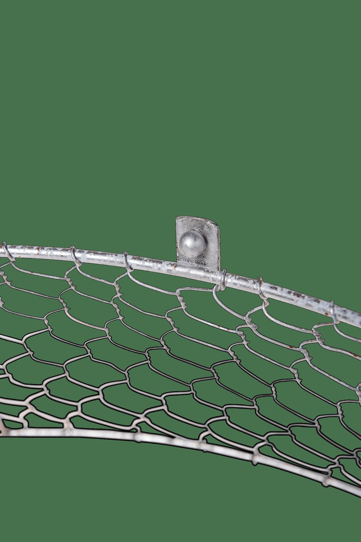 Chicken Wire Cloche with Extension
