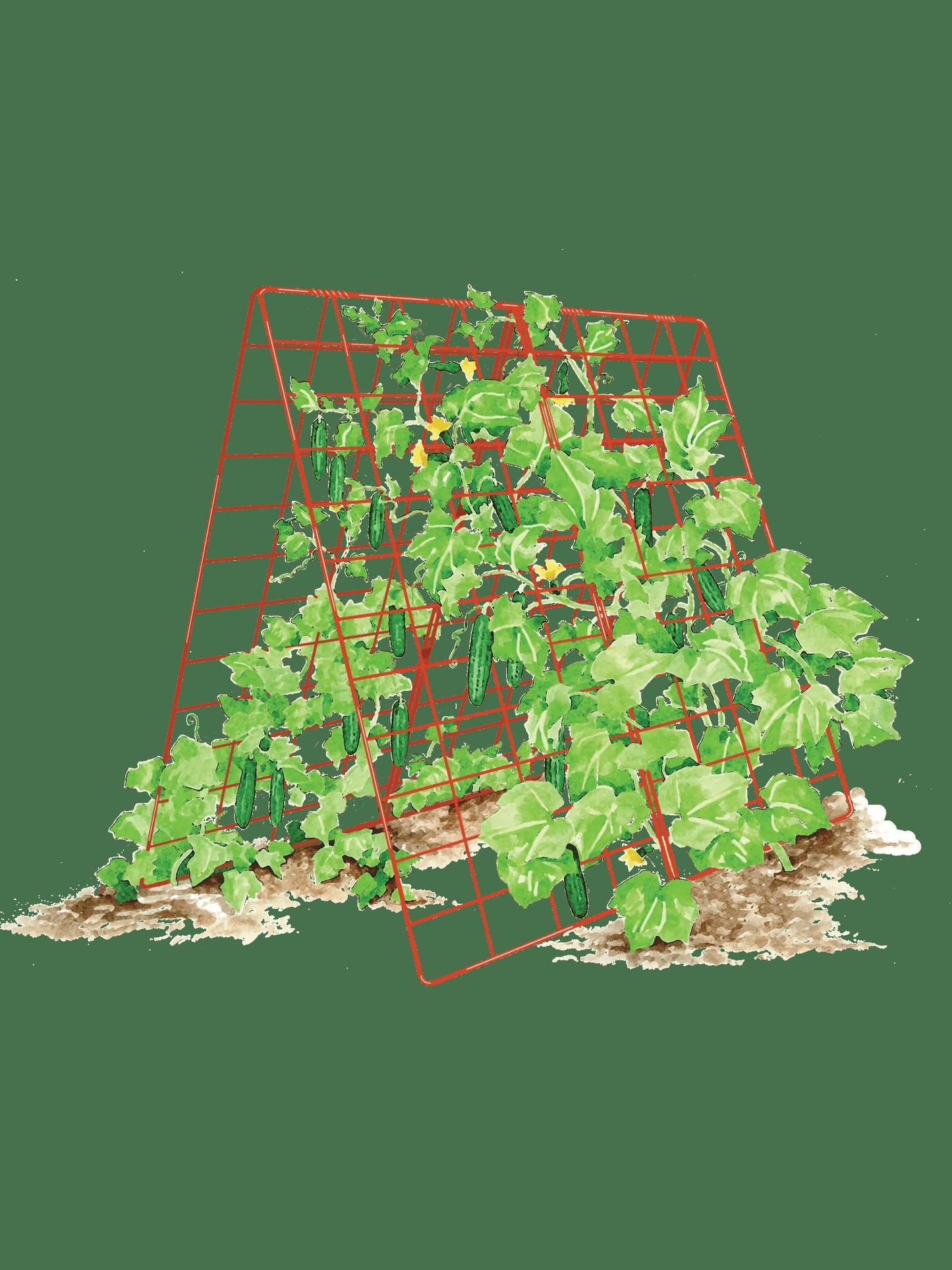 Deluxe Cucumber Trellis