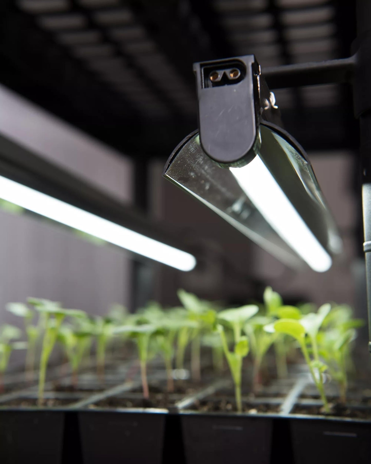 LED Stack-n-GrowTM Lights - Base Unit
