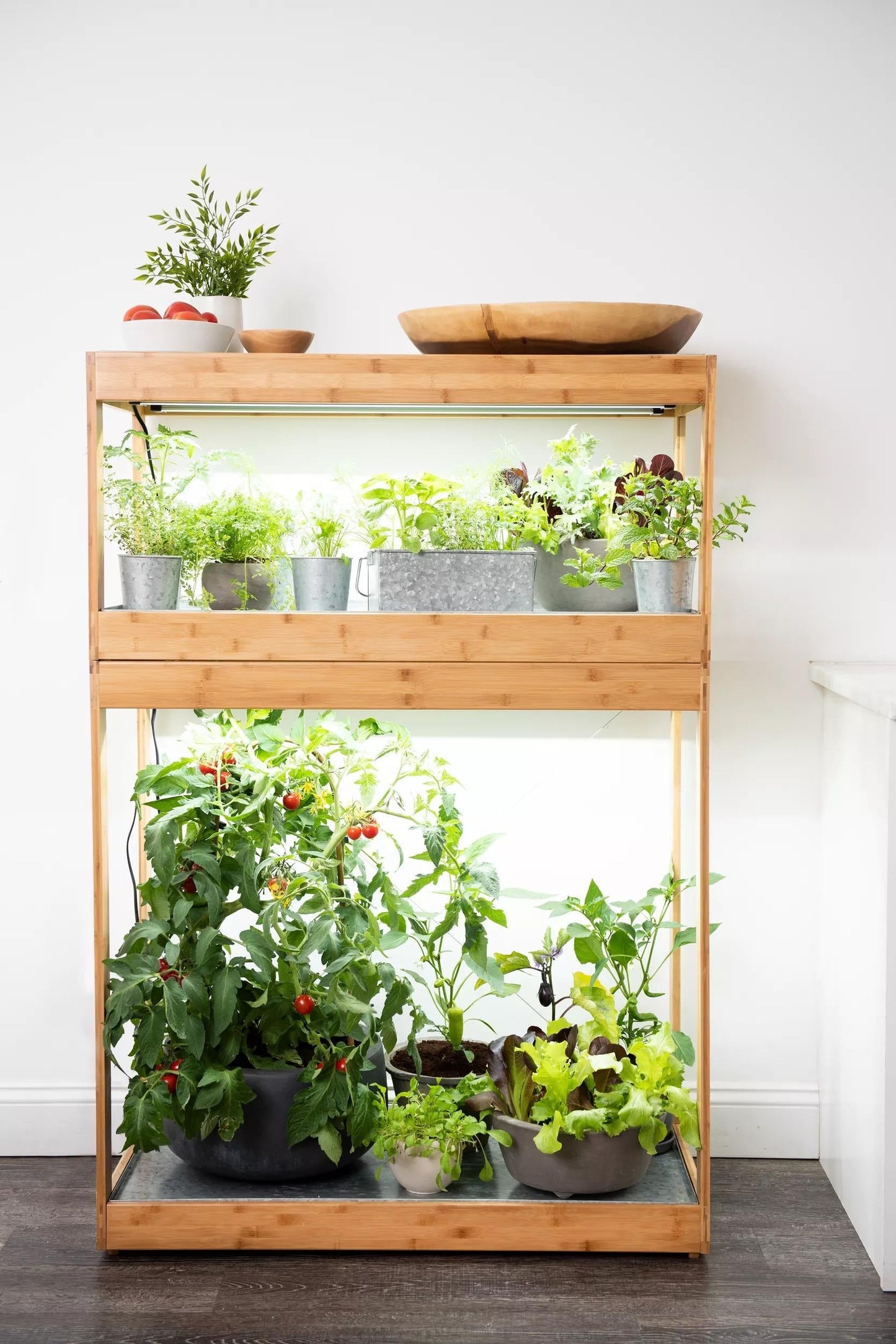 Bamboo Home LED Grow Light Garden