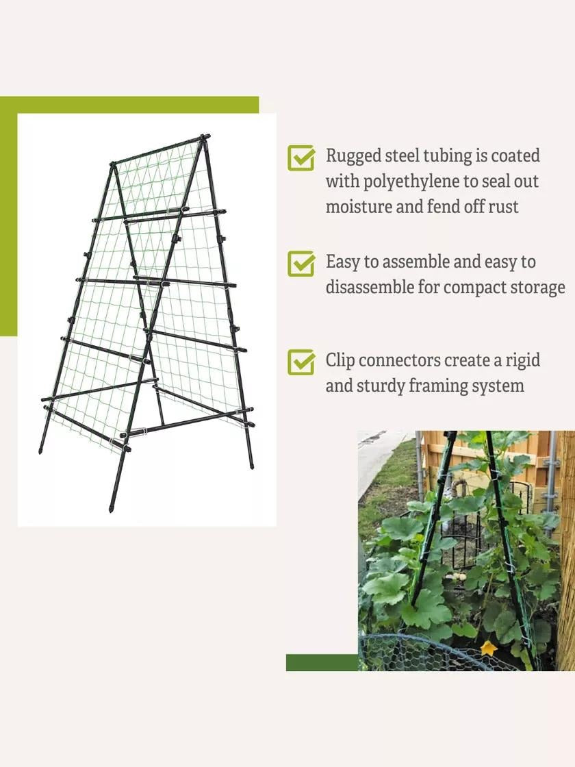 TitanTM A-Frame Trellis
