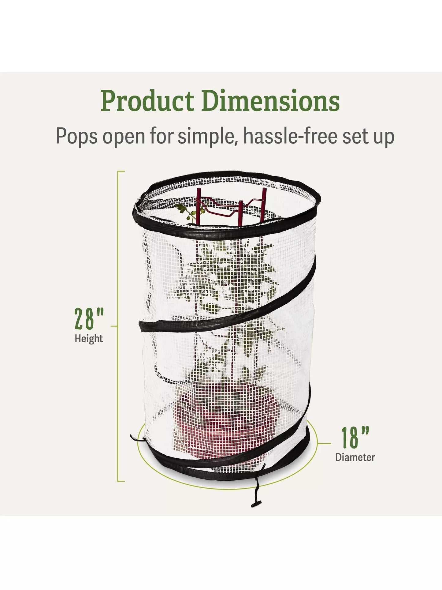 Pop-Up Tomato Accelerator