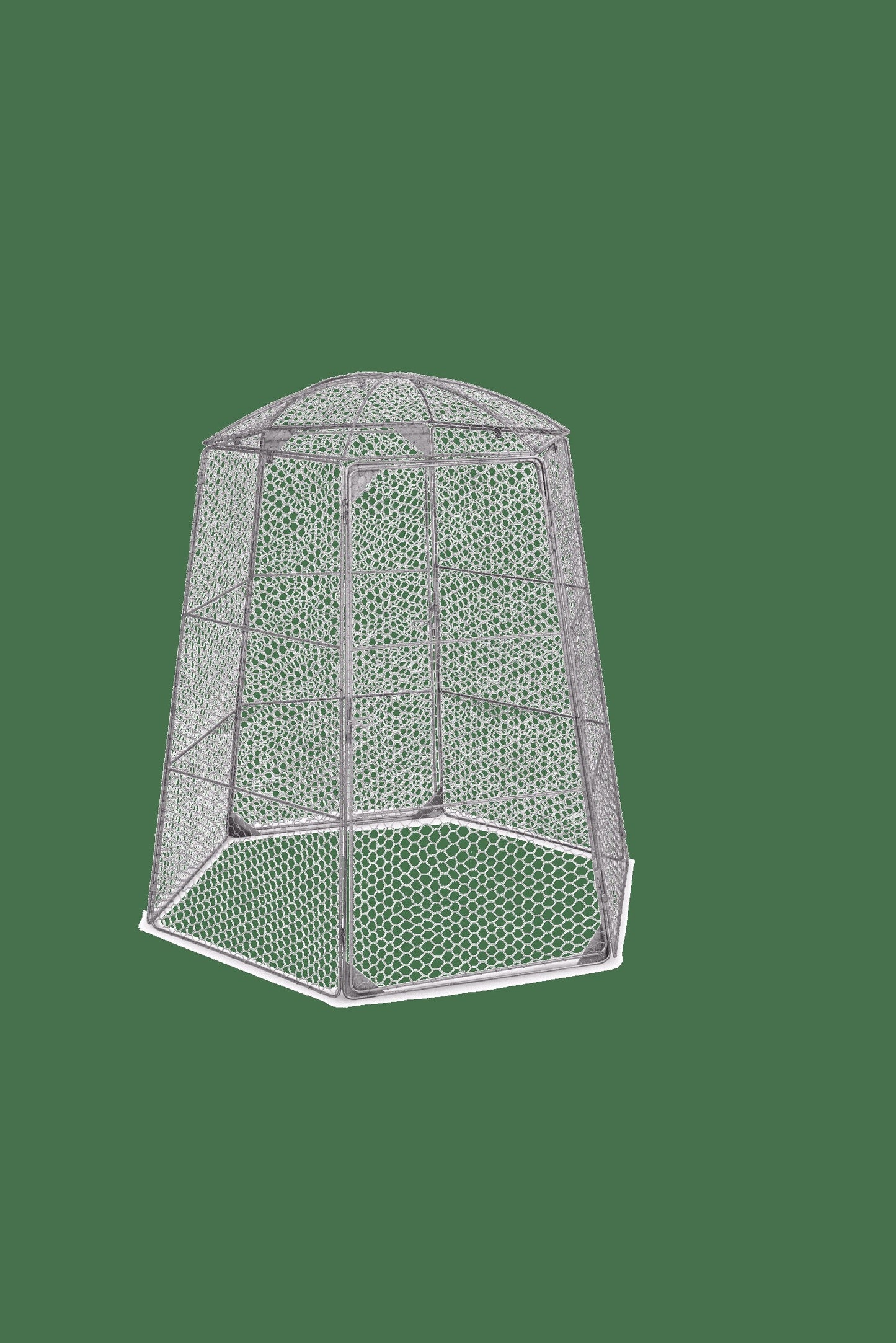 Chicken Wire Super Dome