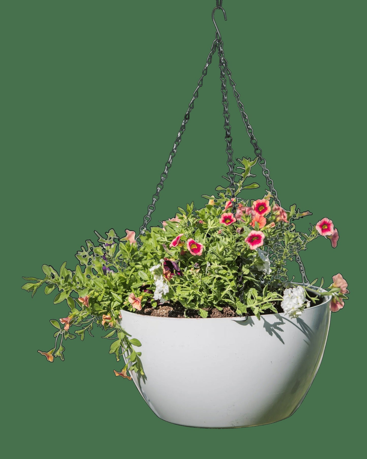 VivaTM Self-Watering Hanging Basket, 14" Diameter