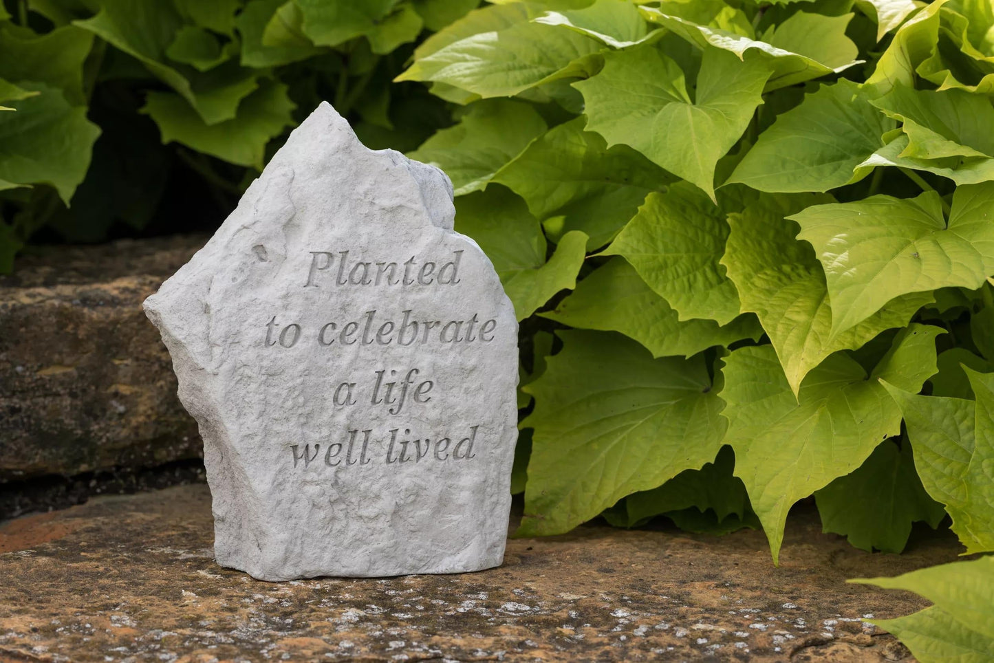 Planted to Celebrate a Life Well Lived Memorial Stone