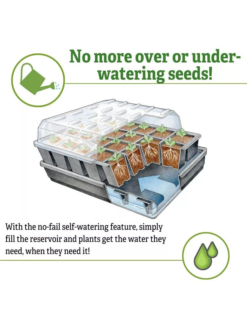 Organic GrowEaseTM Seed Starting Success Kit