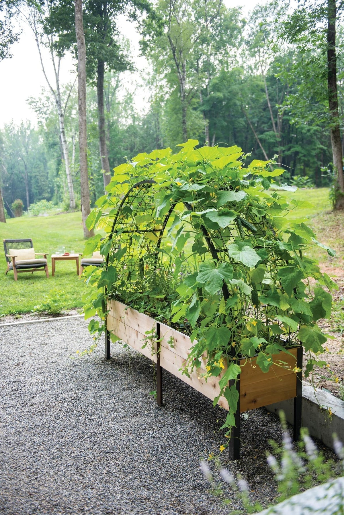 Elevated Cedar Planter Box, 2' x 8'